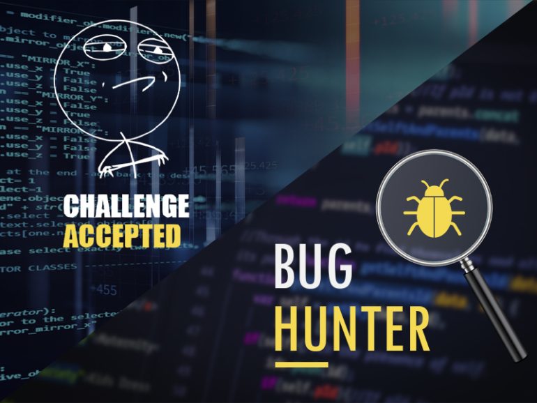 Bughunter_Solve a problem_challanges_System Verification
